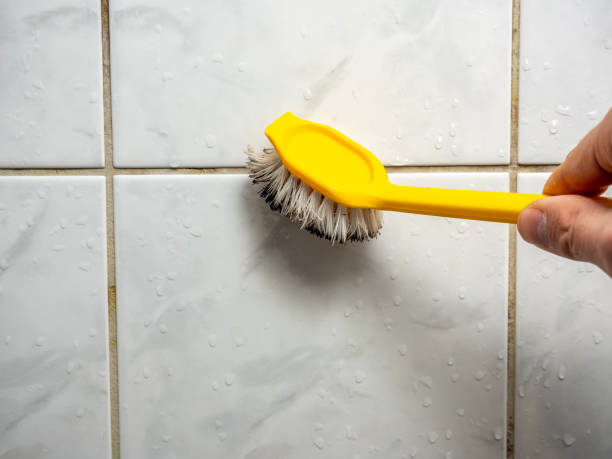 Best Basement Mold Remediation in Rosedale, CA
