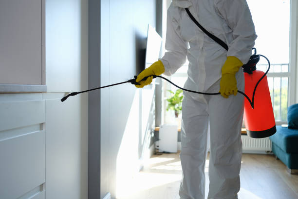 Professional Mold Remediation in Rosedale, CA