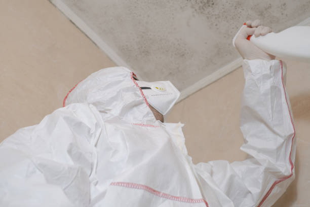 Best Bathroom Mold Remediation in Rosedale, CA